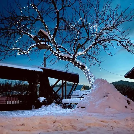 Karpats'kyi Kalejdoskop Guest house 3*