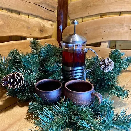 Karpats'kyi Kalejdoskop Guest house