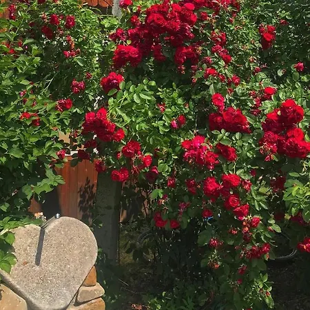 Karpats'kyi Kalejdoskop 3* Slavske