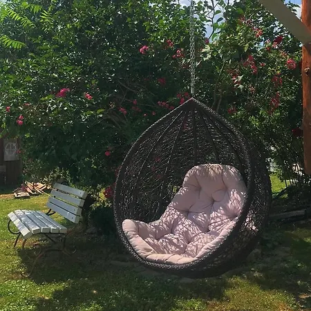 Guest house Karpats'kyi Kalejdoskop Slavske