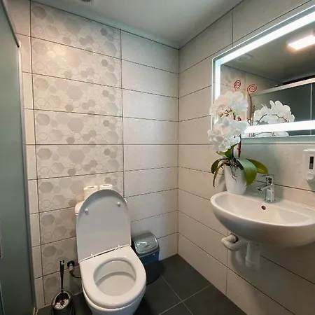 Karpats'kyi Kalejdoskop Guest house