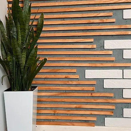 Karpats'kyi Kalejdoskop Affittacamere