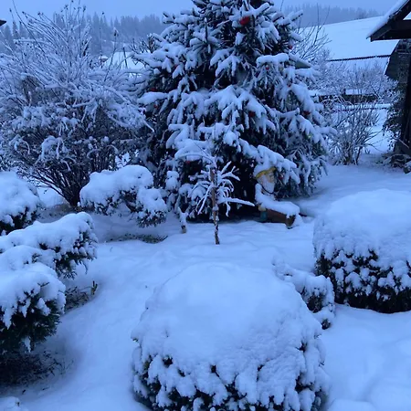 Karpats'kyi Kalejdoskop Affittacamere Slavske