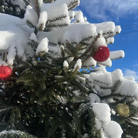 Karpats'kyi Kalejdoskop 3*