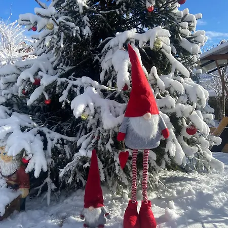 Karpats'kyi Kalejdoskop 3* Slavske