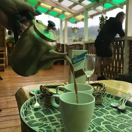 Guest house Karpats'kyi Kalejdoskop Slavske